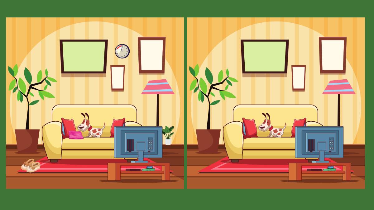 Spot the 4 Differences 